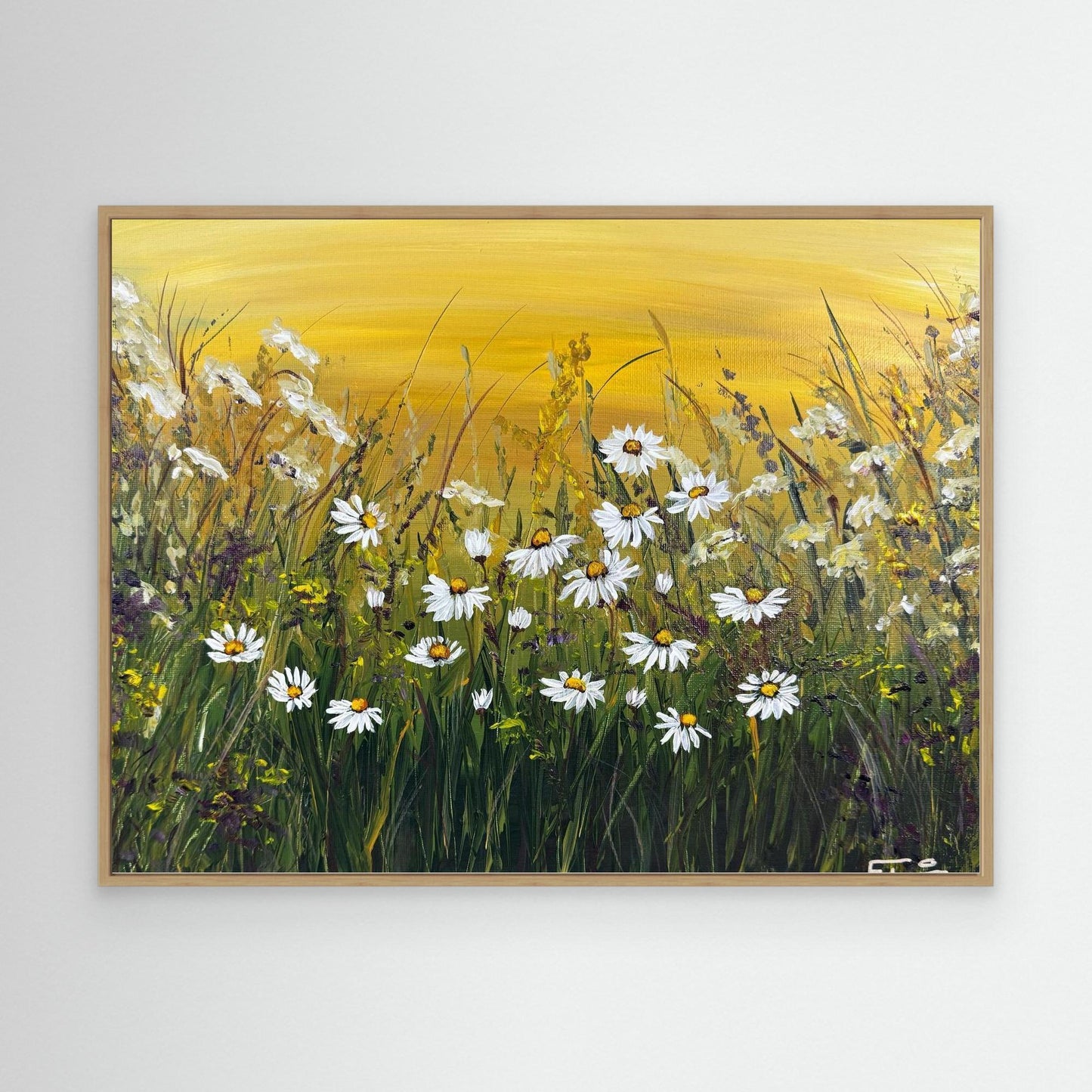 summer daisies