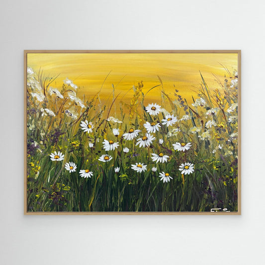 summer daisies
