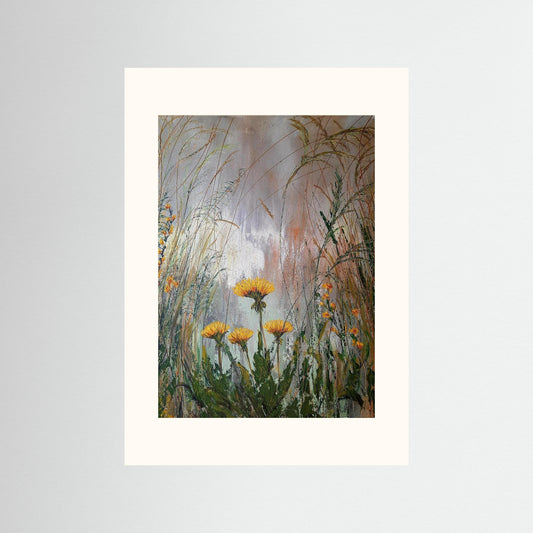 The Humble Dandelion