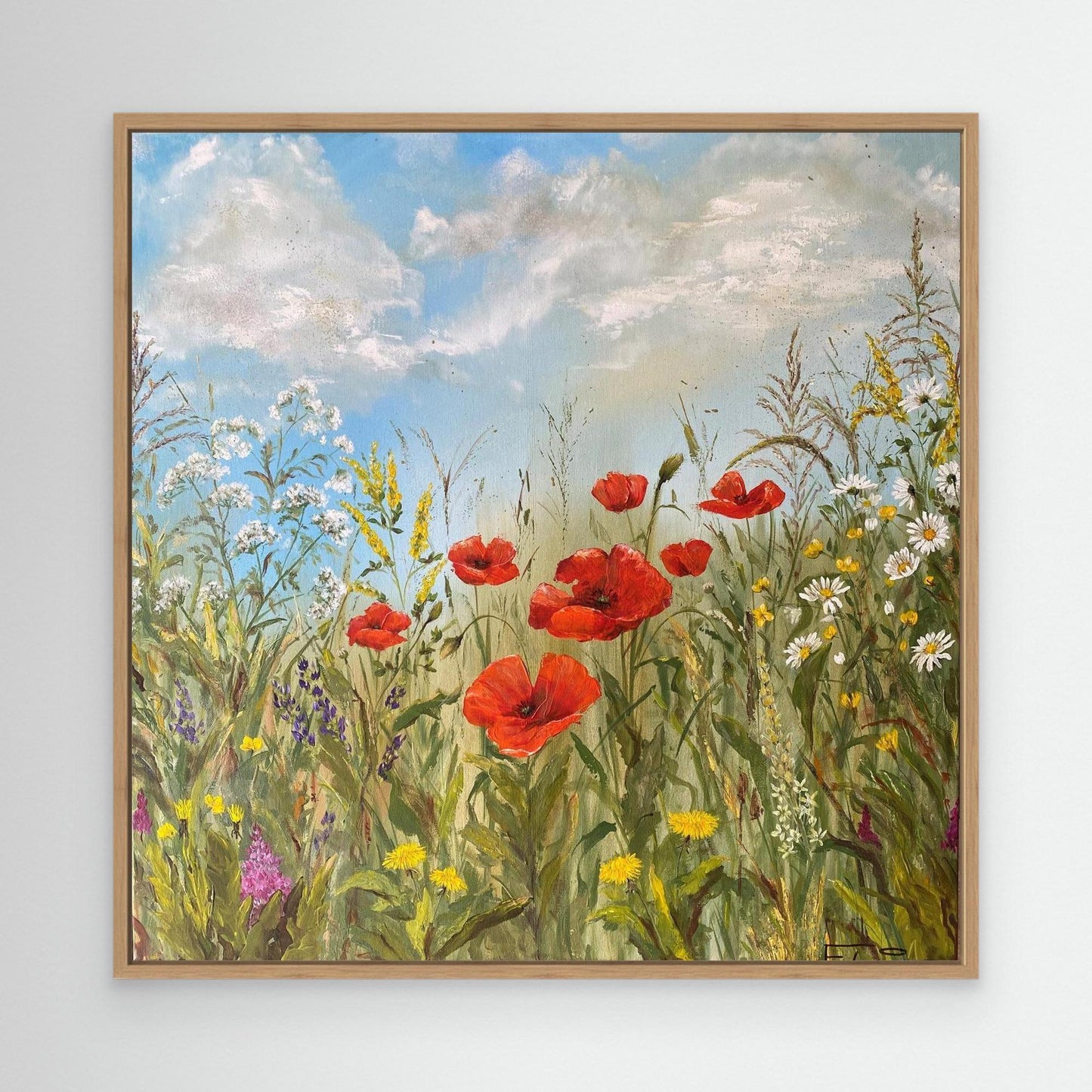 wild poppies