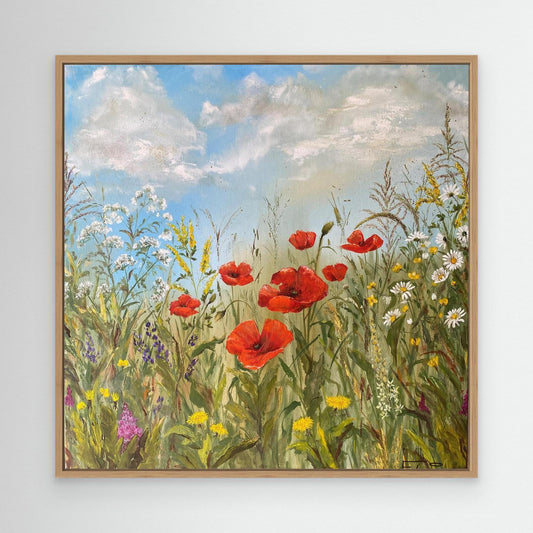wild poppies