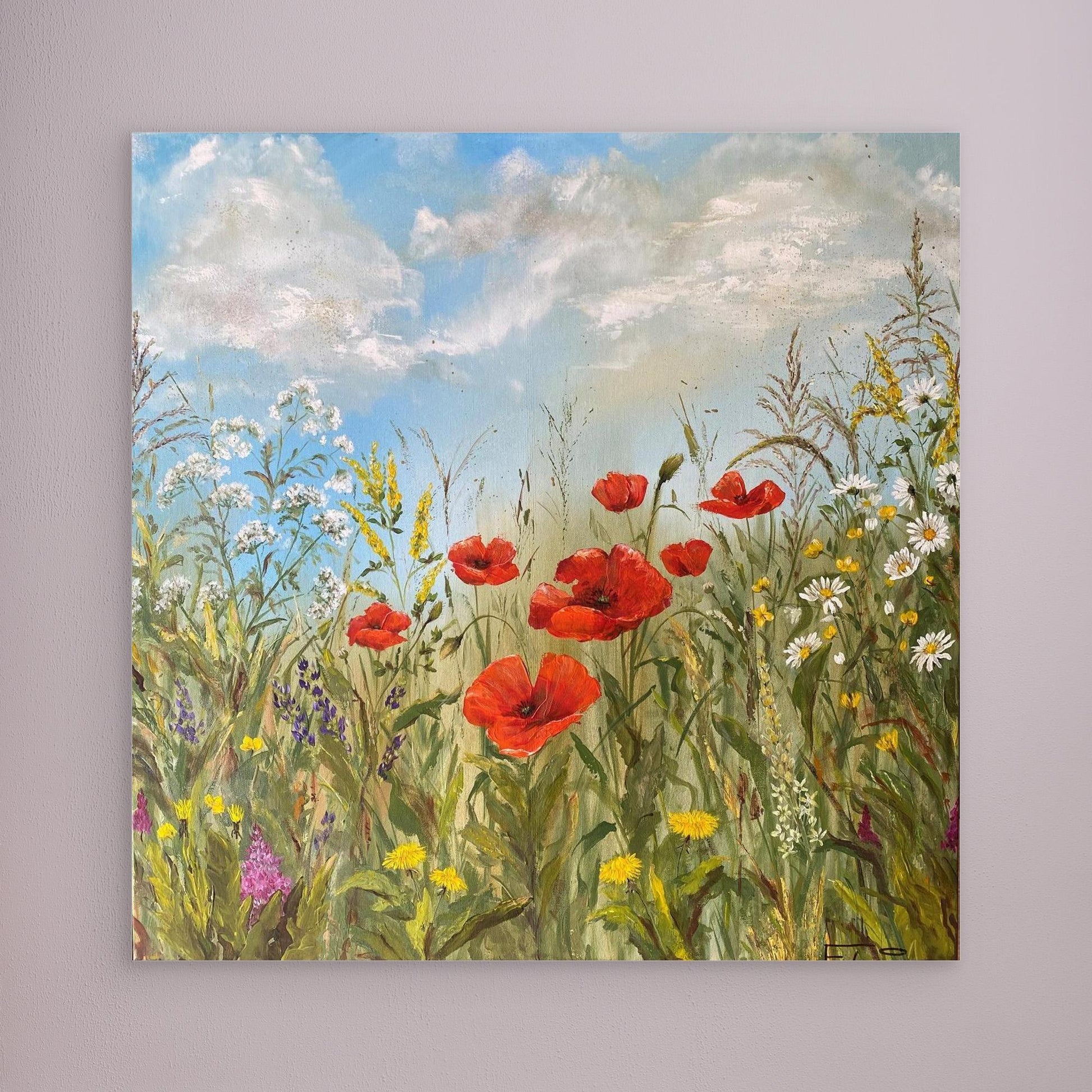wild poppies