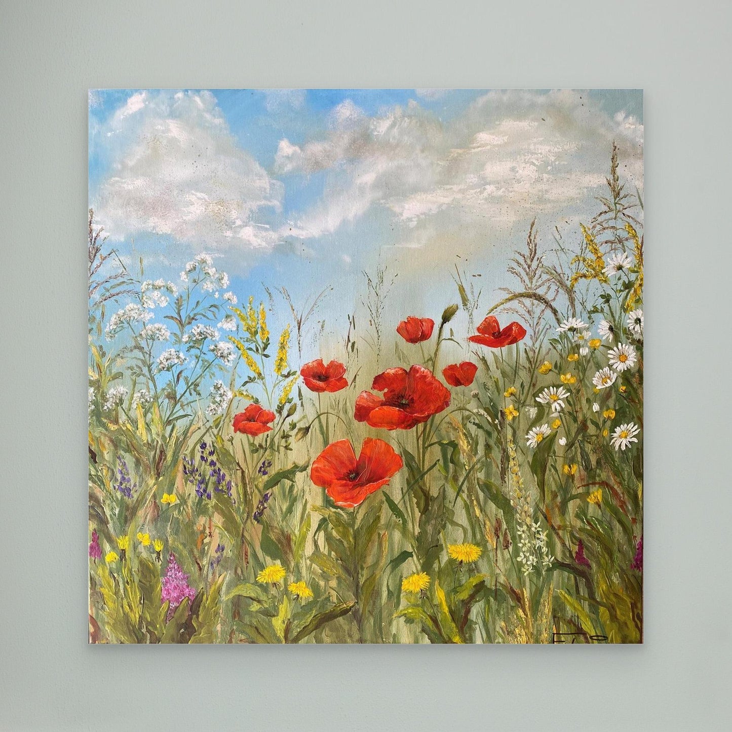 wild poppies
