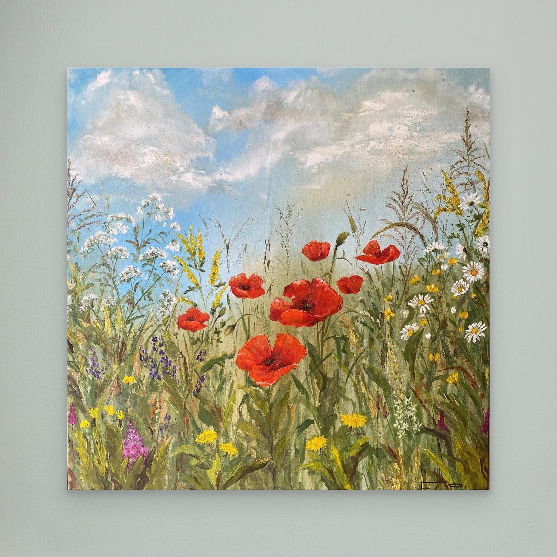 wild poppies