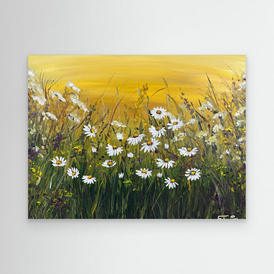 summer daisies