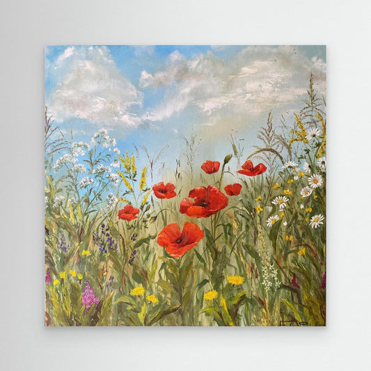wild poppies